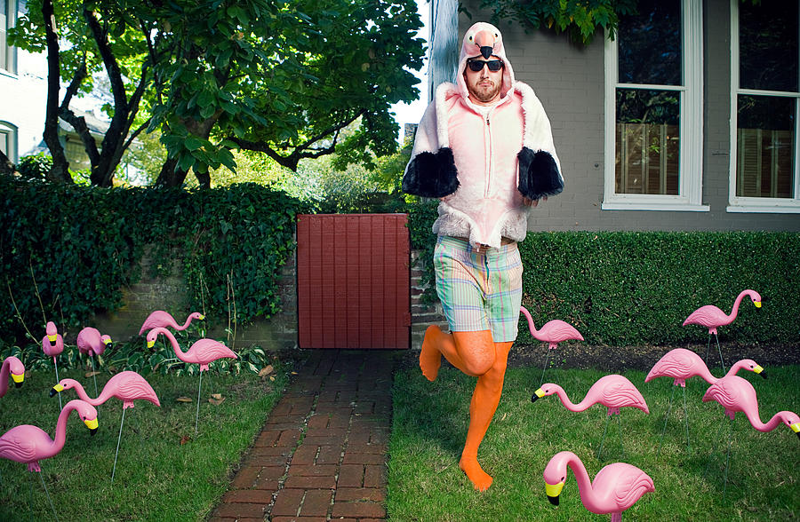 Flamingo Man Lawn Photograph by RyanJLane