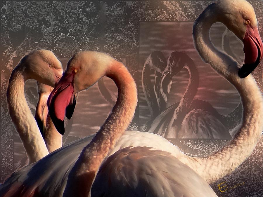 Flamingo Mirror Mixed Media by Ernestine Manowarda