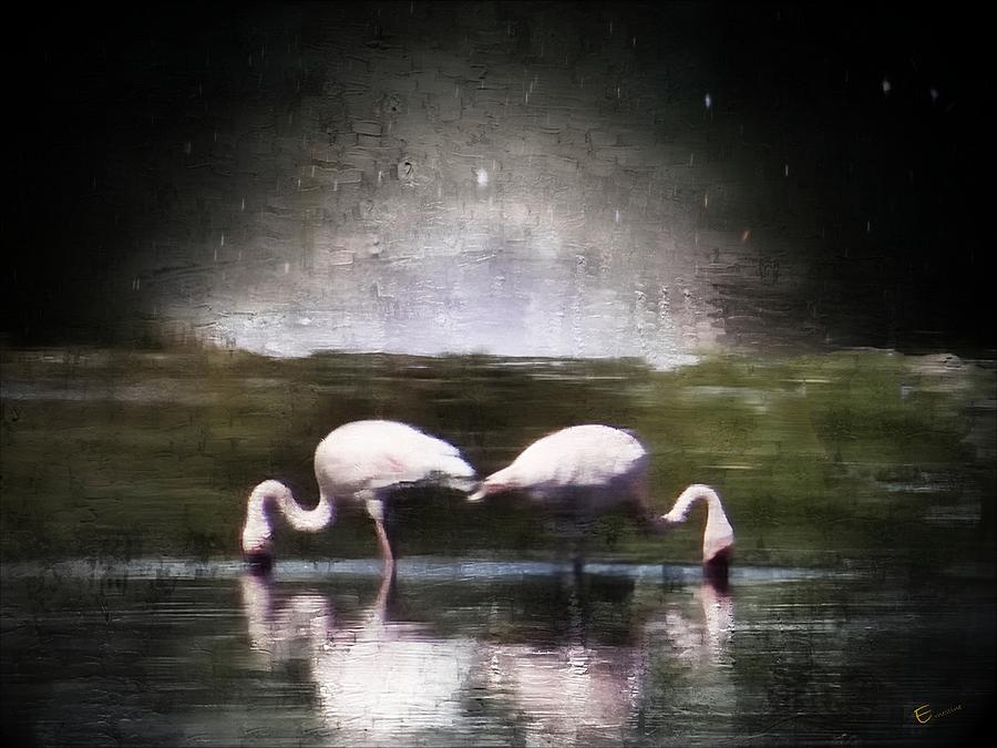 Flamingo Photograph - Flamingo Nights by Ernestine Manowarda