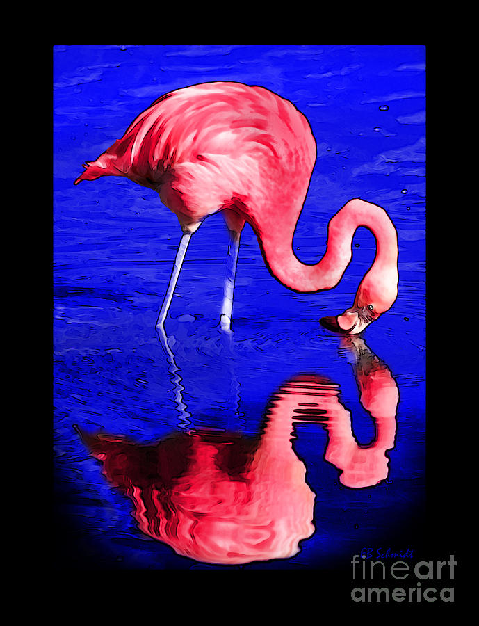 Flamingo Reflection Digital Art by E B Schmidt