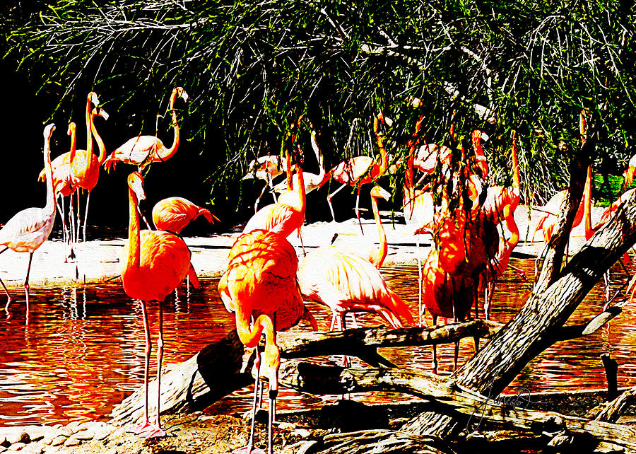 Flamingo Stampede Digital Art by Janice OConnor