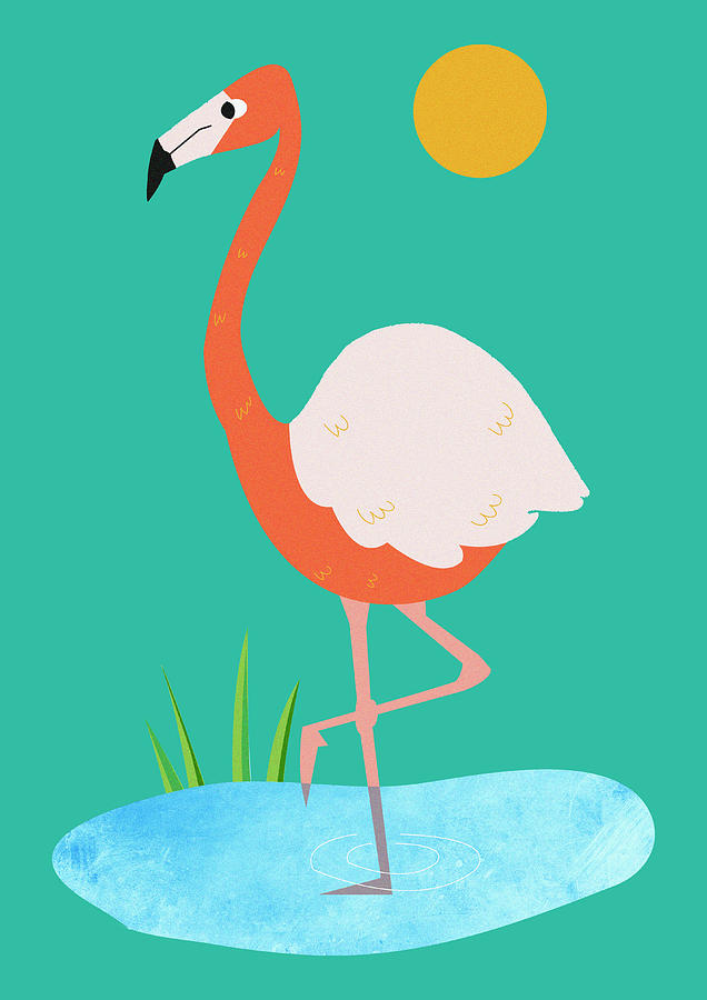 Flamingo Standing In Pond Photograph by Ikon Ikon Images
