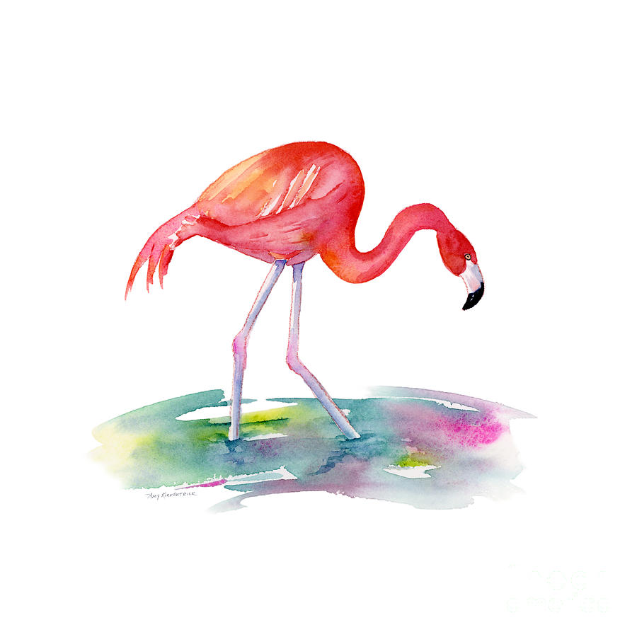 Flamingo Painting - Flamingo Step by Amy Kirkpatrick