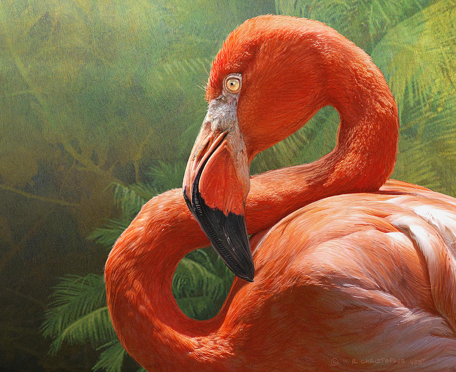 Flamingo Painting - Flamingo Study by R christopher Vest