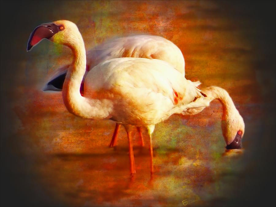 Flamingo Mixed Media - Flamingo Sun by Ernestine Manowarda