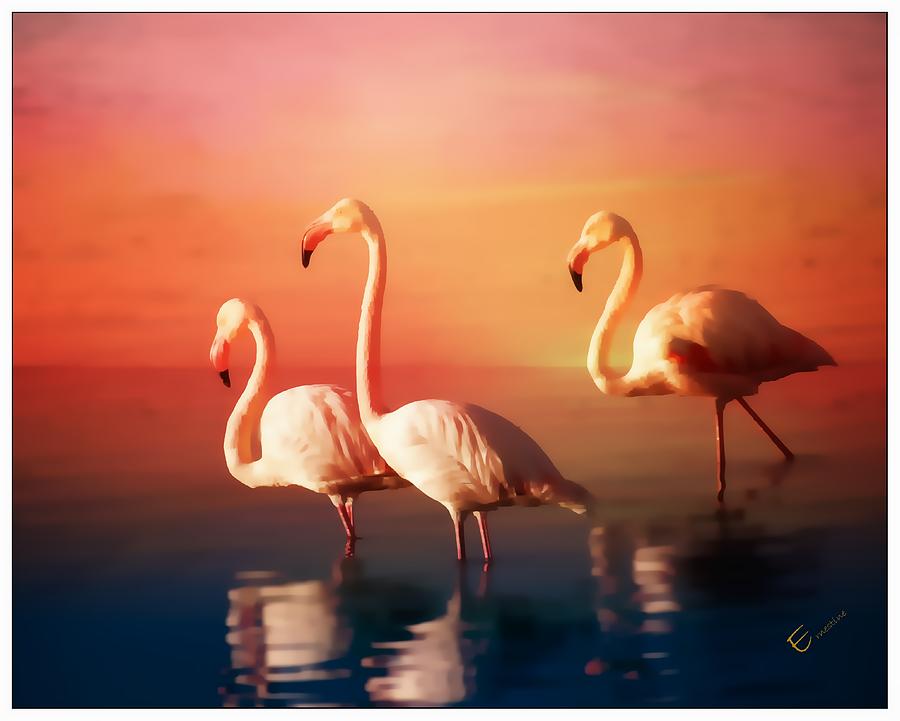Sunset Mixed Media - Flamingo Sunrise by Ernestine Manowarda