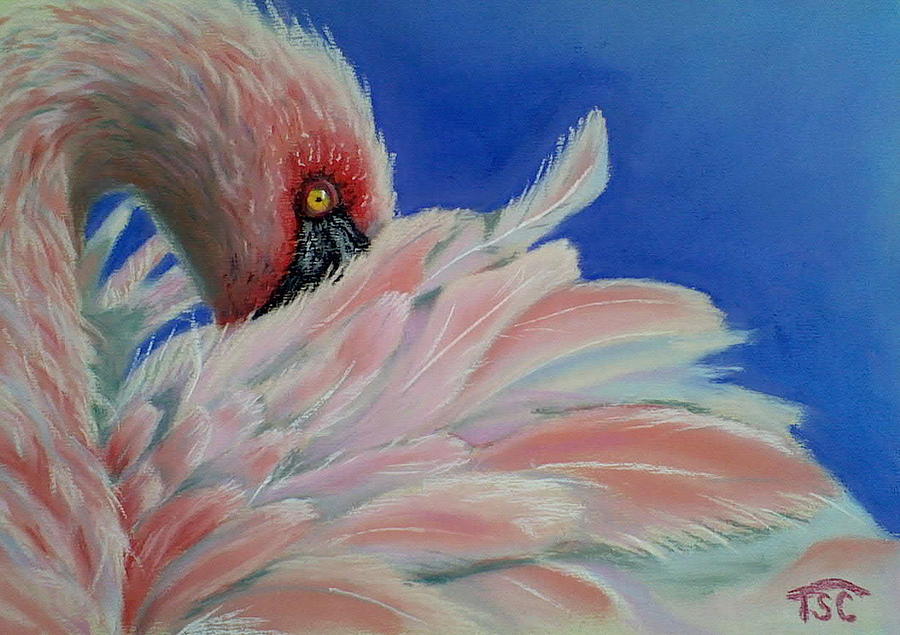 Flamingo Painting - Flamingo by Tammy Crawford