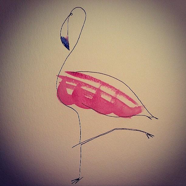Flamingo Vogue Photograph by DT Haase