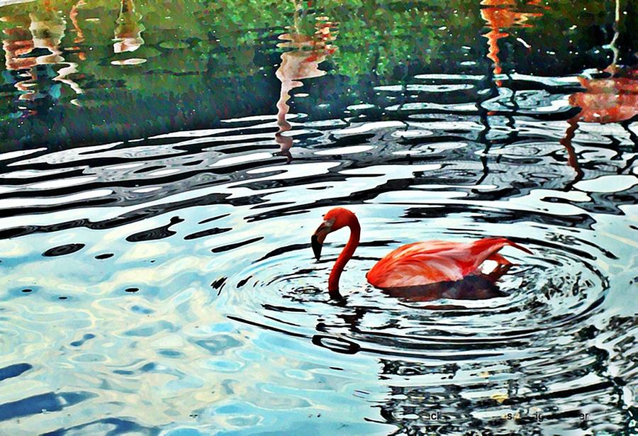 Flamingo Waltz Photograph
