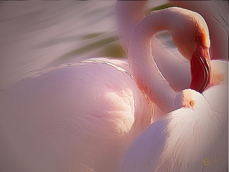 Flamingo Whispers Mixed Media by Ernestine Manowarda