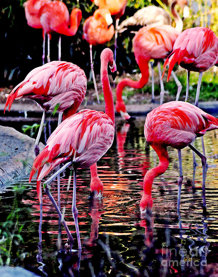 Flamingo Digital Art - Flamingos by Jeff McJunkin by Jeff McJunkin