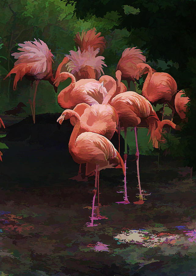 Flamingos Photograph by John Freidenberg