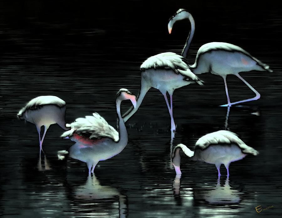 Flamingos Spell Peace Photograph by Ernestine Manowarda - Fine Art America