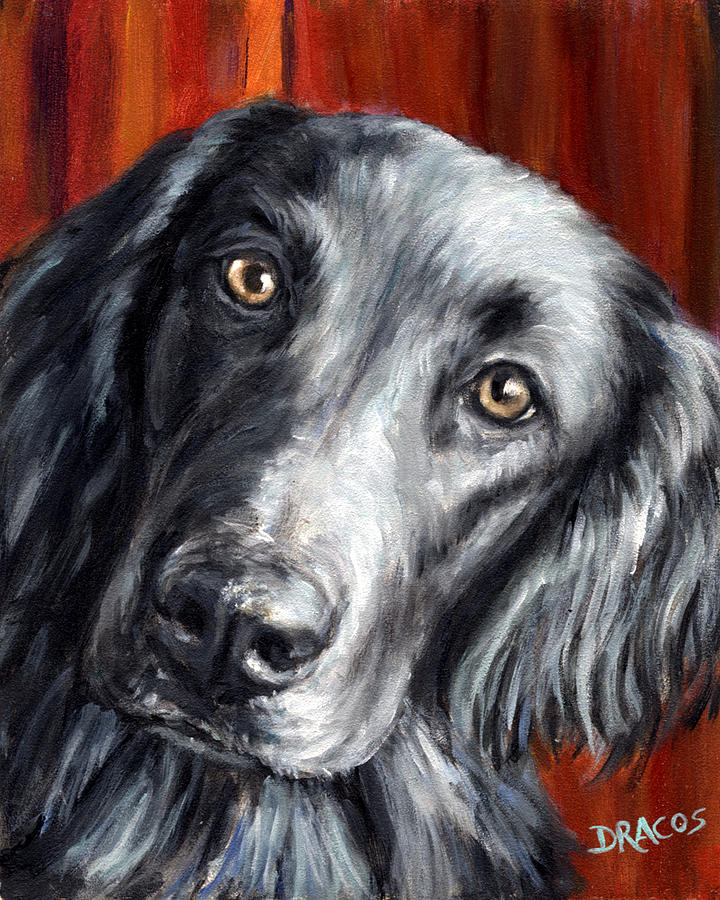 Dog Painting - Flat-coated Retriever Portrait on Red by Dottie Dracos