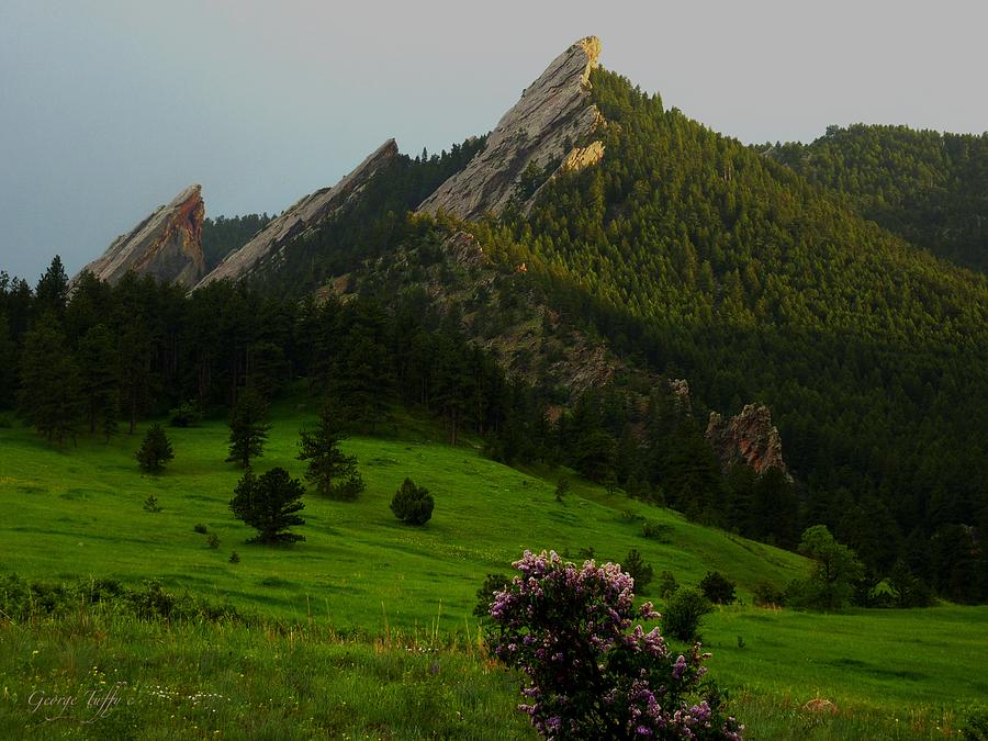 Flatirons spring evening Photograph by George Tuffy