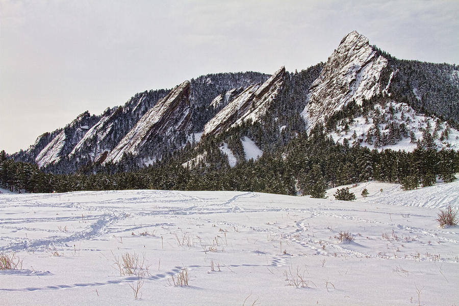 Flatirons Winter Landscape Boulder Colorado Photograph by James BO Insogna