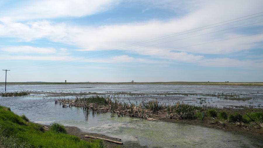 Flatland Flood Photograph by Carol Kunnerup - Fine Art America