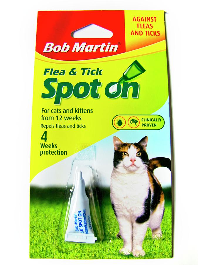 Flea And Tick Treatment For Cats Photograph by Ian Gowland/science ...