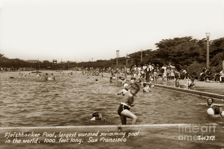 San Francisco Photograph - Fleishhacker Pool the largest swimming pool San Francisco in the World  1940 by Monterey County Historical Society