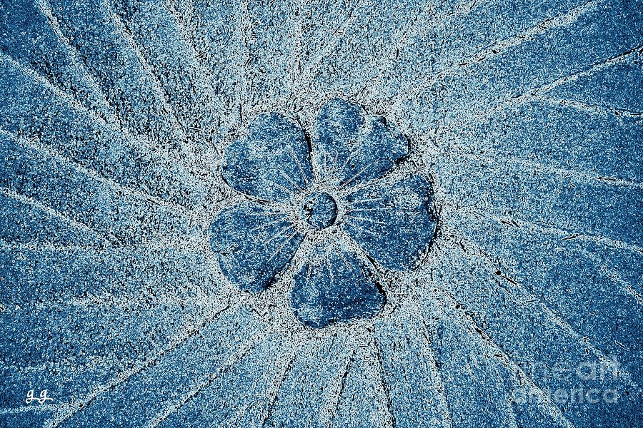 Fleur Blue Photograph by Geri Glavis