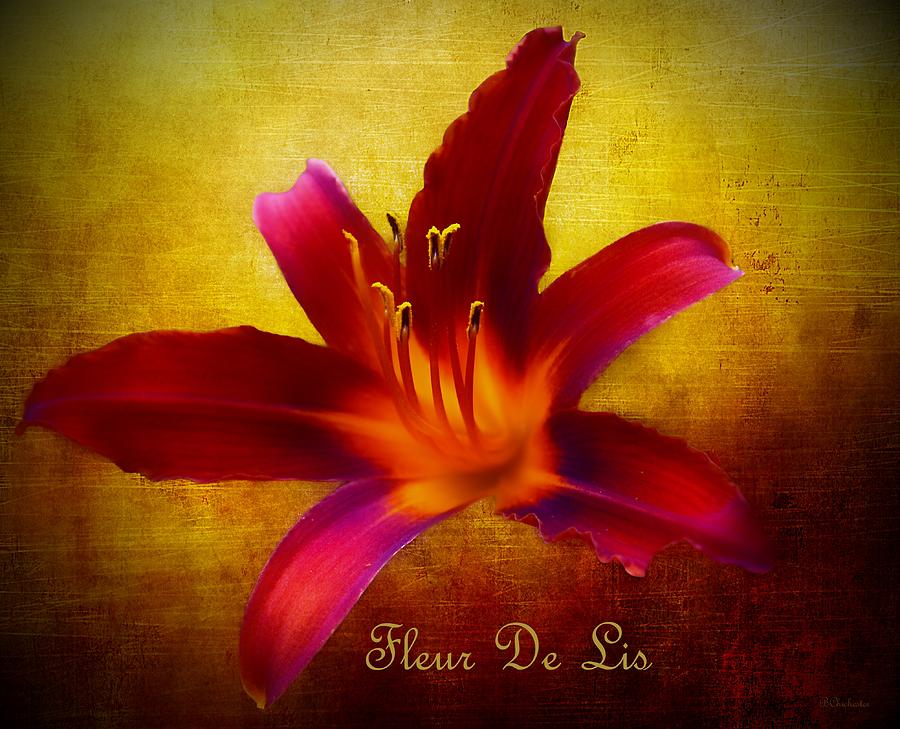 Fleur De Lis D'or by Barbara Chichester