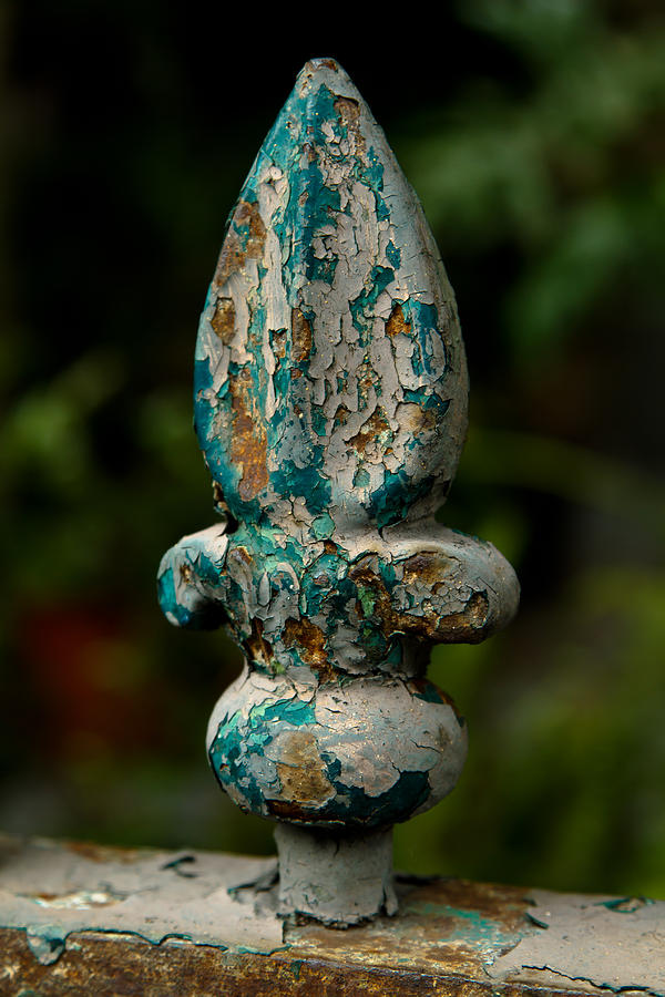 Fleur de lis Photograph by Susie Hoffpauir Fleur de lis Photograph by Susie Hoffpauir