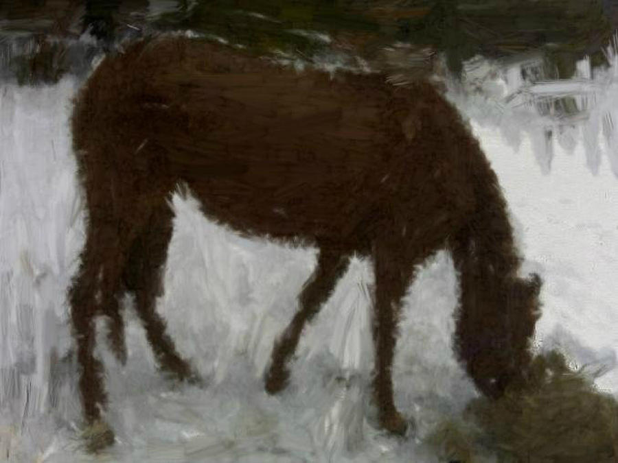 Flicka Painting by Bruce Nutting