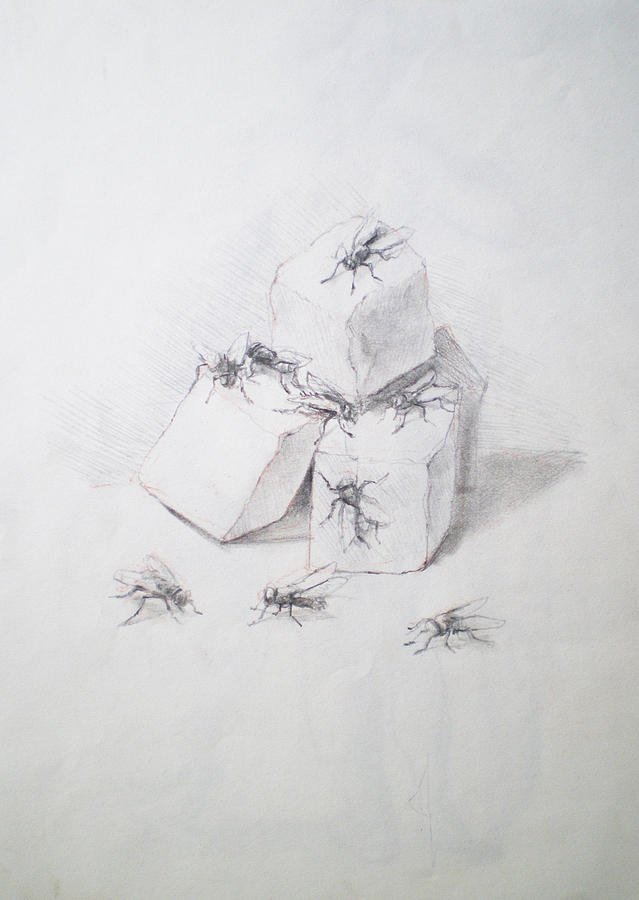 Flies Drawing by Paez  ANTONIO