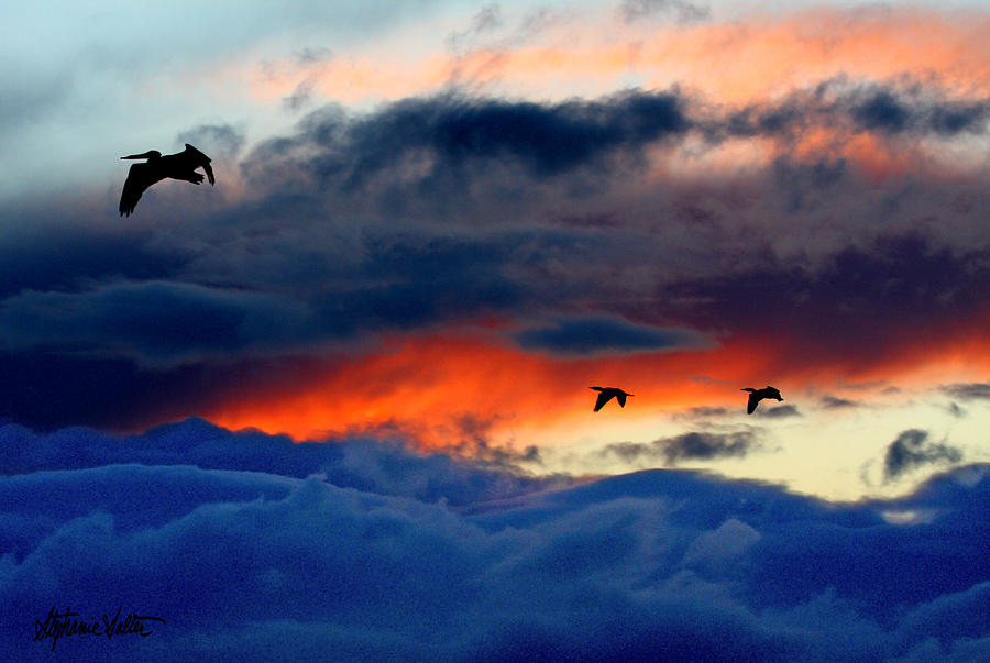 Flight After the Storm Above the Salton Sea, California Photograph by Stephanie Salter