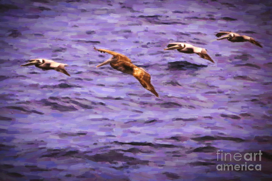 Pelican Painting - Flight Formation by David Millenheft