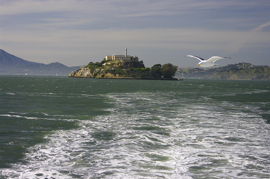 Flight from Alcatraz - San Francisco Bay California Photograph by Michael Mazaika