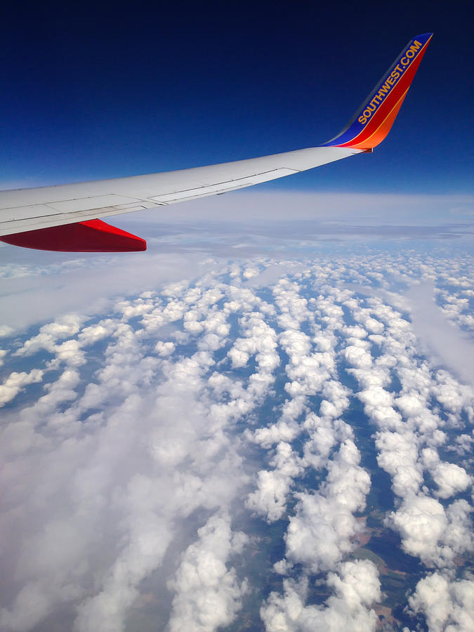 Flight Home Photograph by Debra Martz