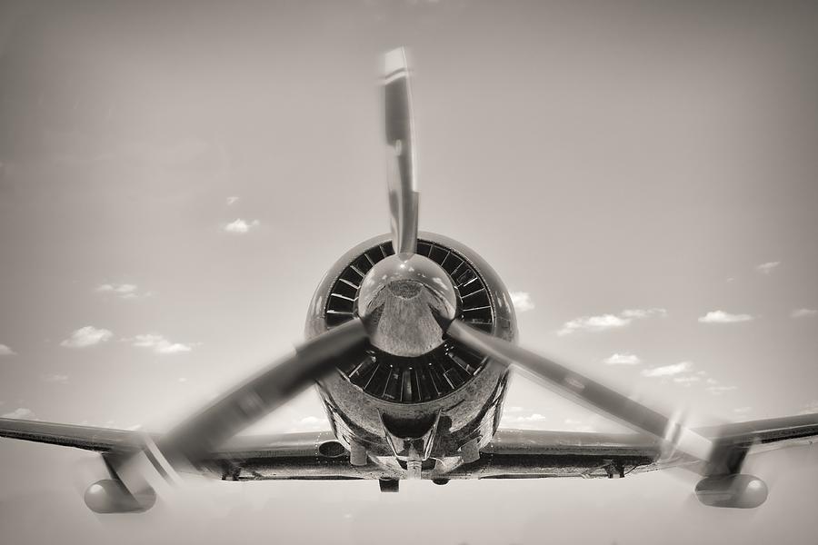 Flight In Black And White Photograph by Rudy Umans