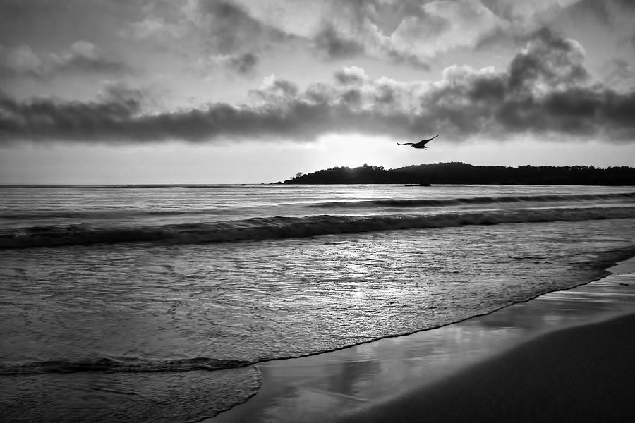 Flight of Fancy - Monterey Coast - Black and White Photograph by Nikolyn McDonald