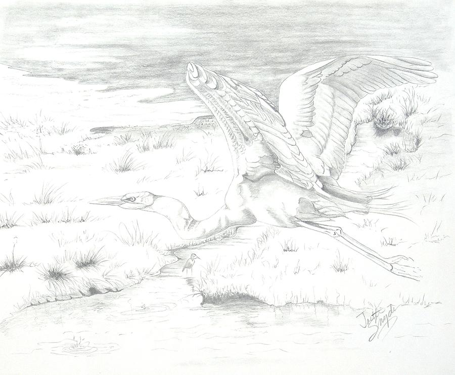 Flight of Grace Drawing by Joette Snyder