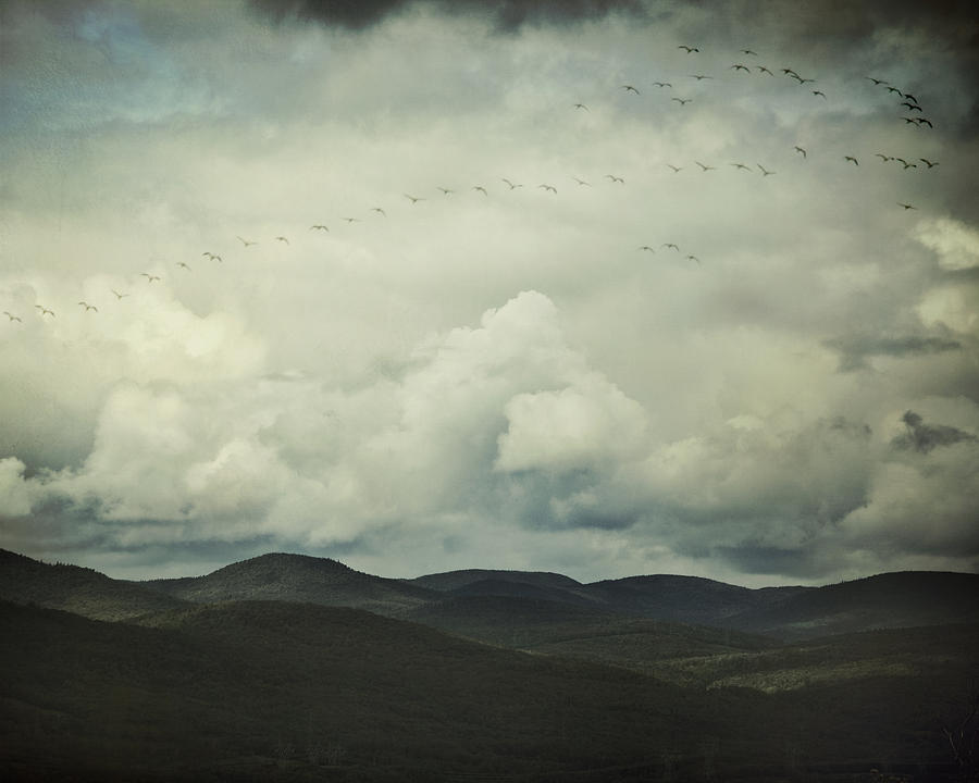 Mountain Photograph - Flight Path by Irene Suchocki