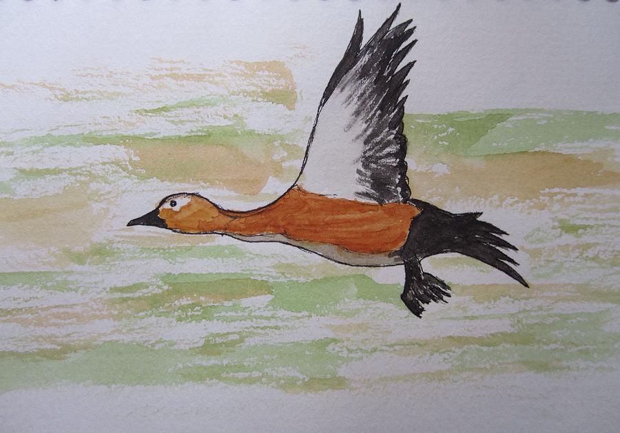 Duck Painting - Flight by Suvitha Ramaswamy