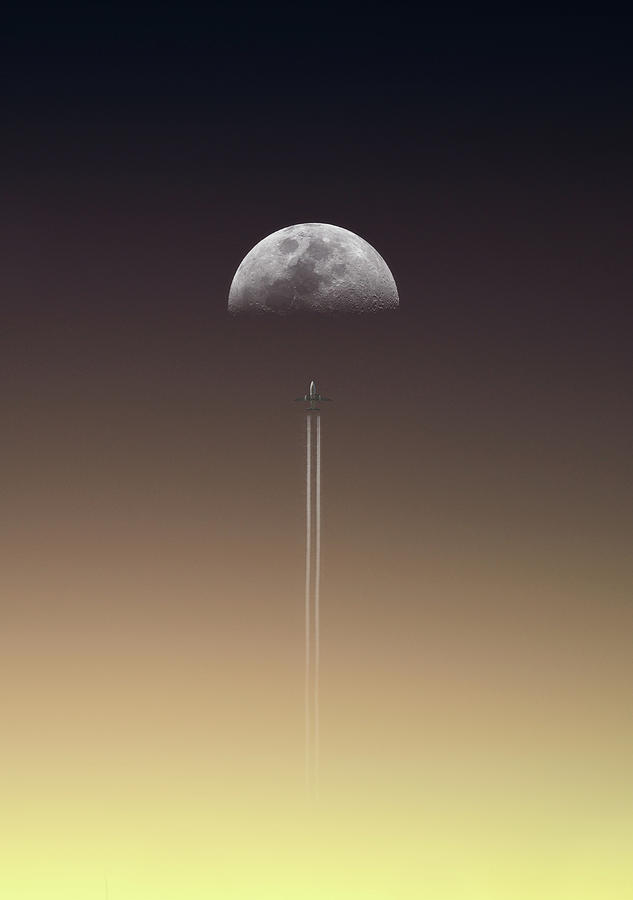 Flight To The Moon Photograph by Rui Almeida Fotografia
