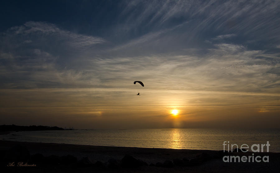 Flights to sunset. Photograph by Arik Baltinester