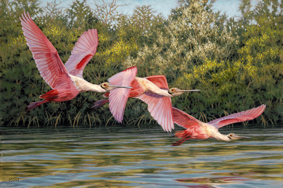 Ibis Painting - Flight by Don  Ray