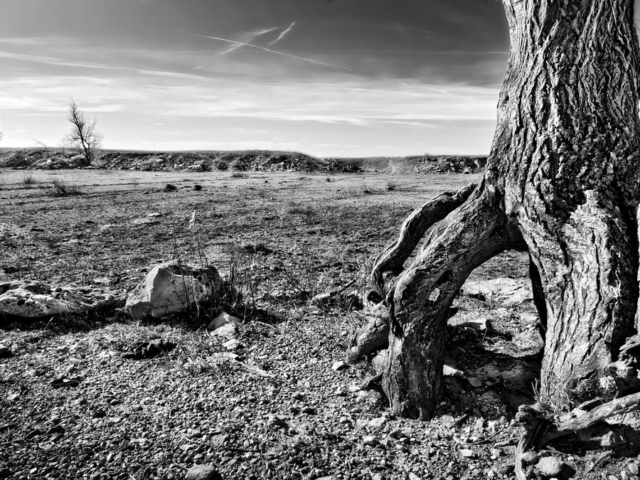 Black And White Photograph - Flint Hills Moonscape by Eric Benjamin