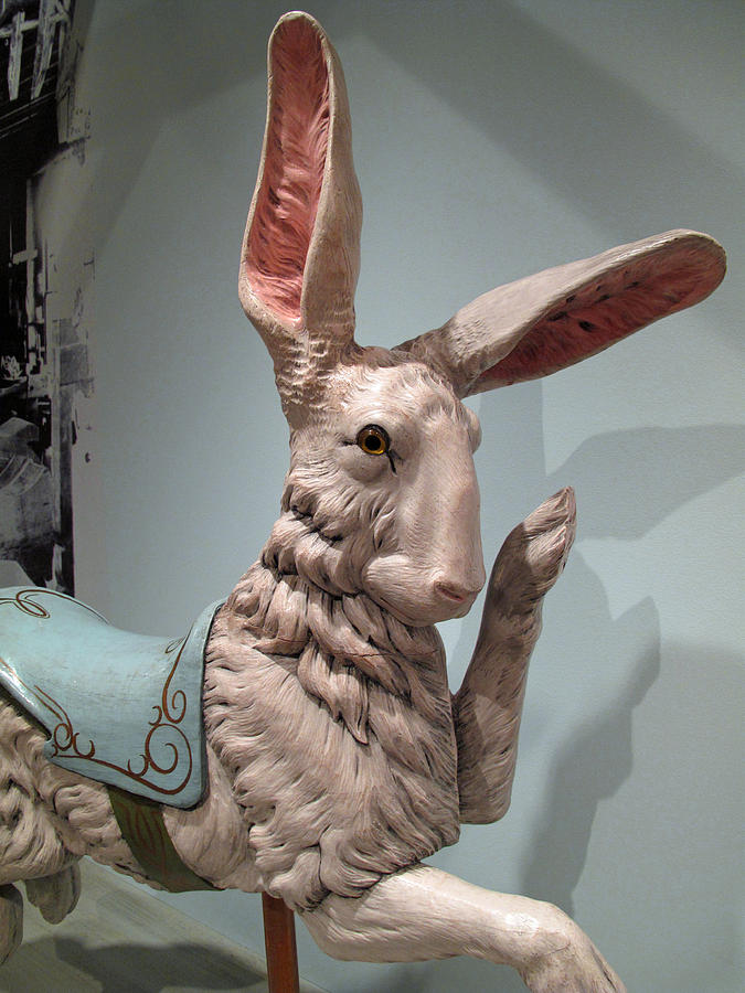 Flirting Rabbit at Heritage Museum Photograph by Barbara McDevitt