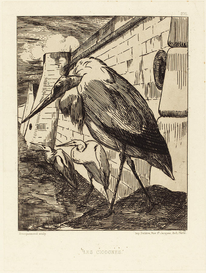 Stork Drawing - Félix Bracquemond, Les Cigognes The Storks by Quint Lox