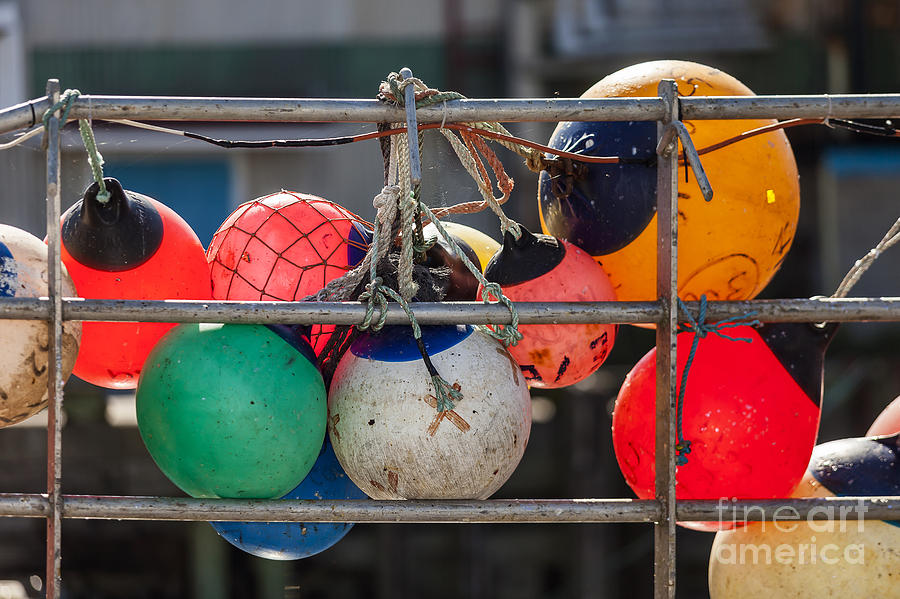 Buoy Photograph - Float Rack by Scott Kerrigan
