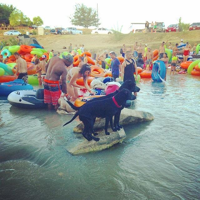 #floatfest2014 In Hill Country Photograph by Julian Schor