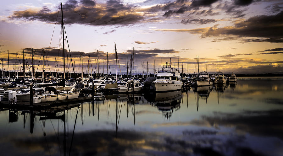 Sunset Photograph - Floating Around by Blanca Braun Sunset Photograph - Floating Around by Blanca Braun
