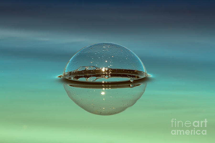 Floating Bubble Photograph by Heidi Farmer