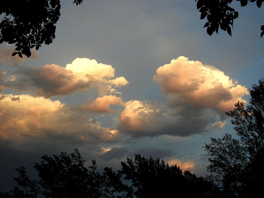Clouds Photograph - Floating Clouds by Virginia Forbes