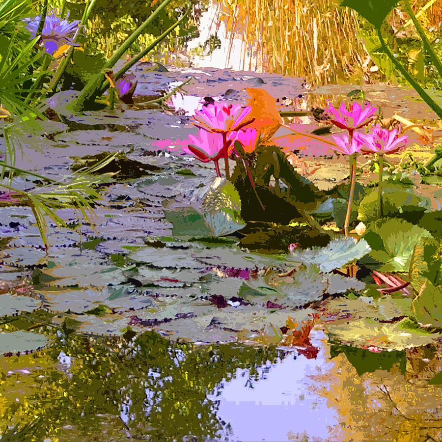 Floating Colors on the Pond Photograph by John Lautermilch