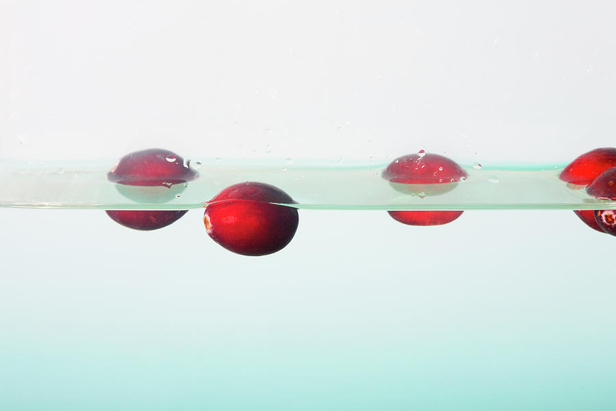 Floating Cranberries Photograph by Diane Macdonald